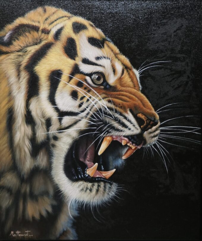 Tigre Furioso – 50 x 60 cm Art Gallery Alpha House Gallery 3