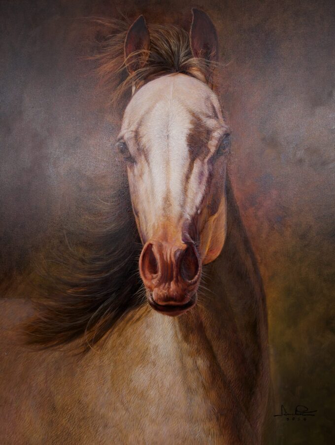 Cavalo – 100 x 130 cm Art Gallery Alpha House Gallery 3